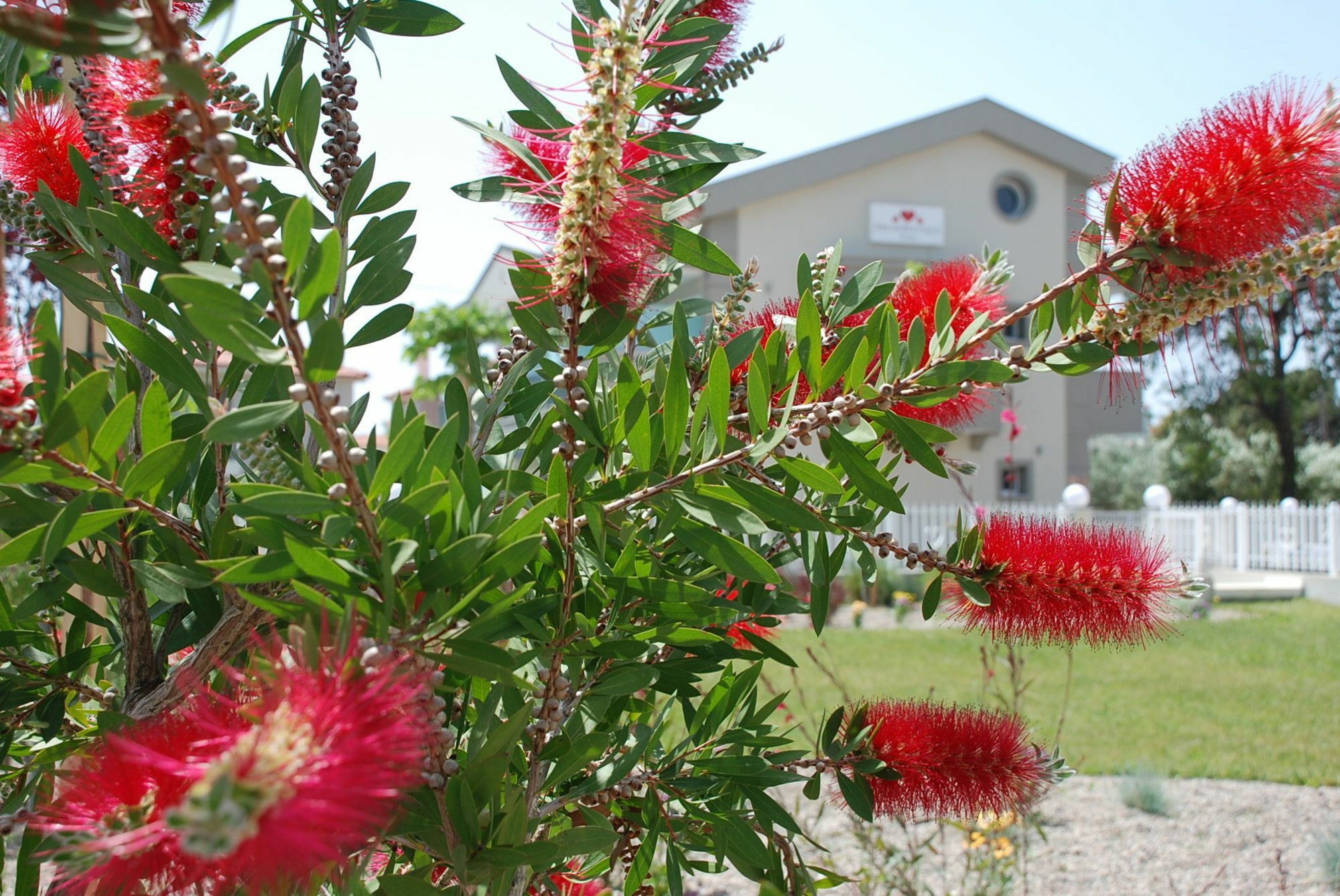 Dream Boutique Apartments Nikiti  Buitenkant foto